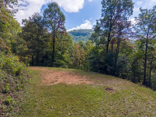 9 Berry Cove Rd, Franklin, NC 28734