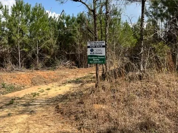 Honeysucker Rd, Camden, MS 39045