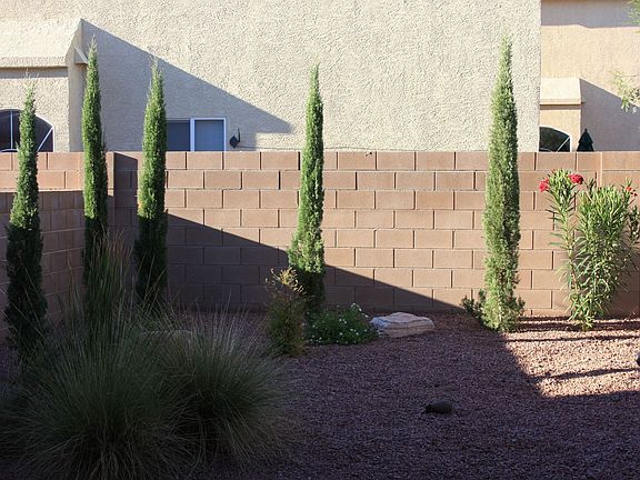Landscaped rear yard