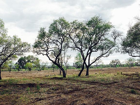 4th image of LOT 10 W Us Highway 290