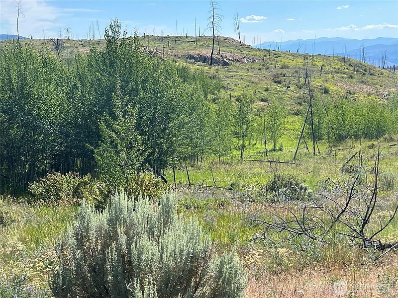 3rd image of 0 Lot 12 Lone Spur Road