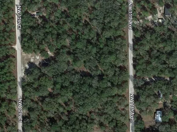 Lot 11 NW 11TH AVENUE, BELL, FL 32619
