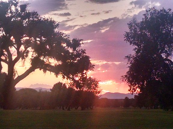 Golf Course