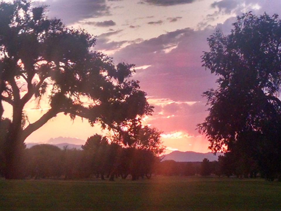 Golf Course