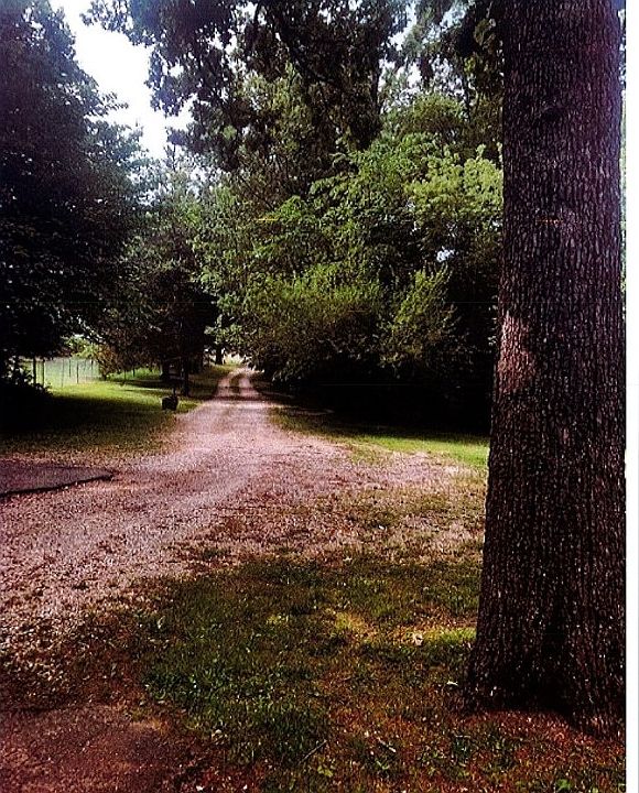 2nd image of 3009 W New Hope Rd