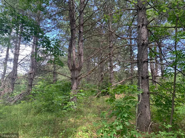 42154 Grove St, Palisade, MN 56469