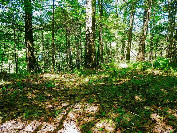 3rd image of +/-.544 Acre SALEM LAKE ROAD