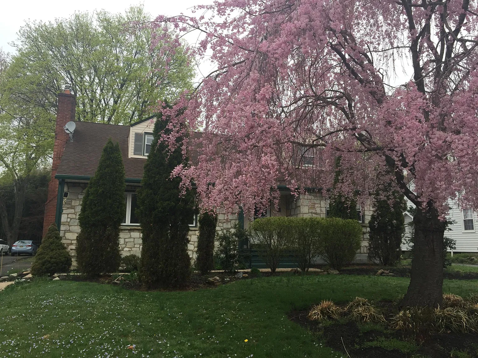 4 bed, 2194 sqft, $3,200 — Photo 1