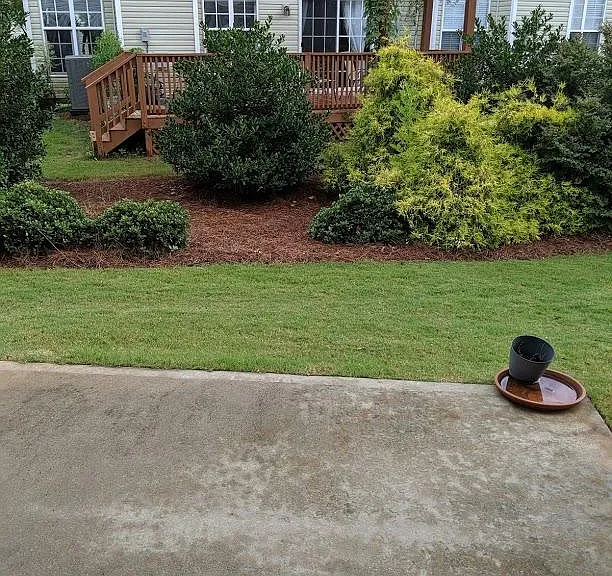Patio view
