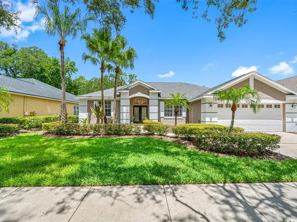 3517 Cordgrass Dr, Valrico, FL 33596