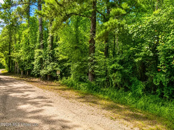 Belle Gardner Rd, Amite, LA 70422