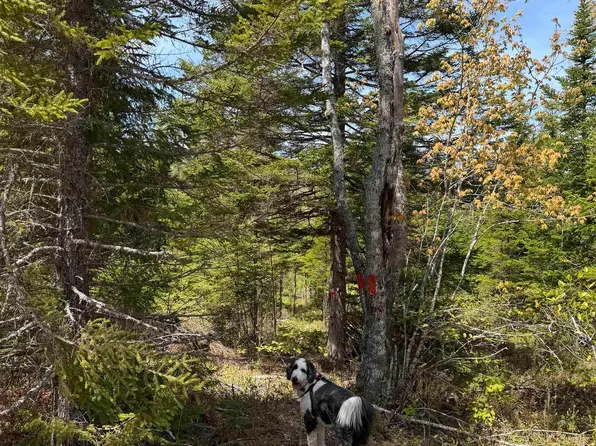 Palmer Rd Lot Cl2, Cumberland, NS B0M 1Z0