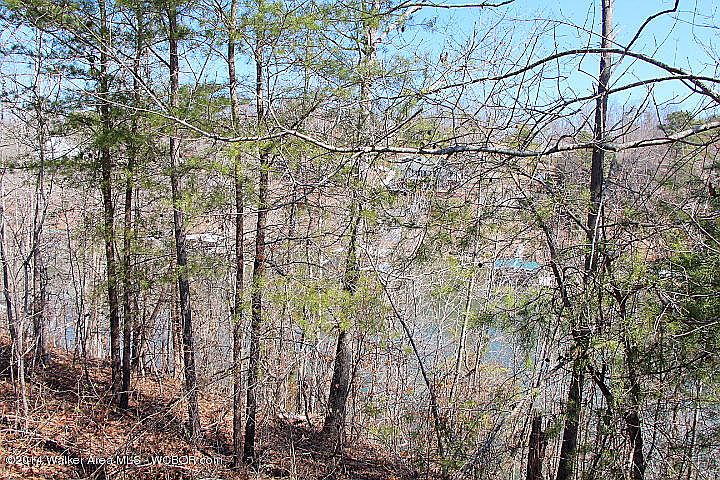 2nd image of LOT 804 Lakewood Lndg Lot 804
