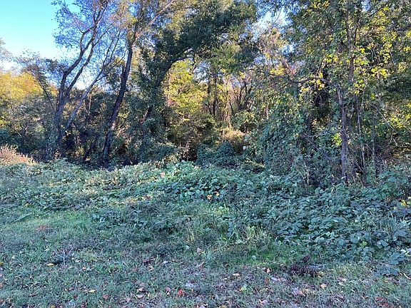 5th image of 9359 County Road 1119