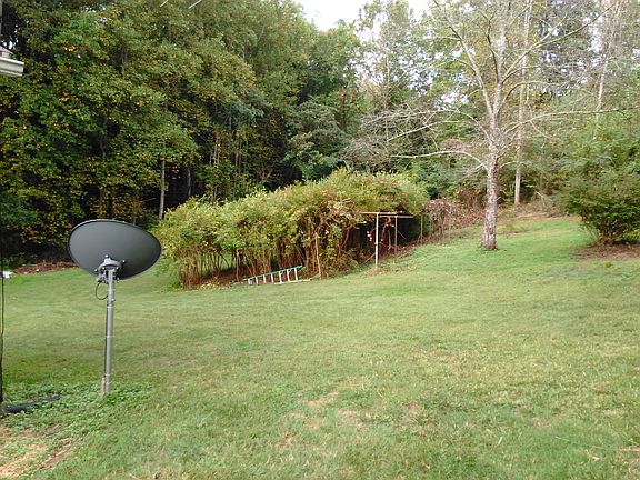 Over 150 blueberry bushes