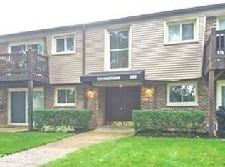 330 N Carter St UNIT 203, Palatine, IL 60067