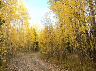 56 Basalt Cir, Leadville, CO 80461
