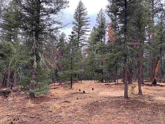 5th image of LOT 3 Pinos Verdes