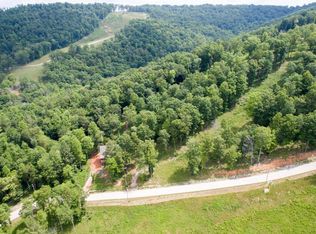 0 Pinnacle Pointe Way LOT 100, Sharps Chapel, TN 37866