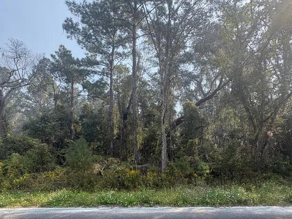 0 105th Rd, Live Oak, FL 32064
