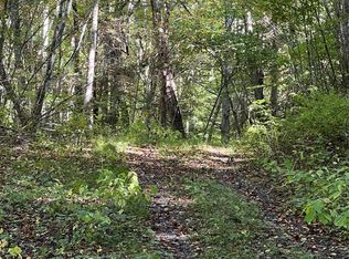 3845 Hamburg Rd, Mars Hill, NC 28754