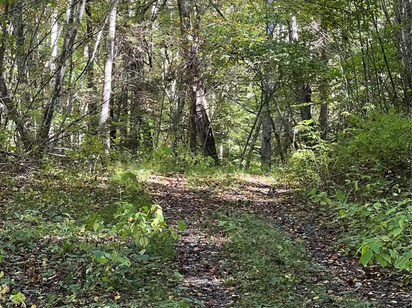 3845 Hamburg Rd, Mars Hill, NC 28754