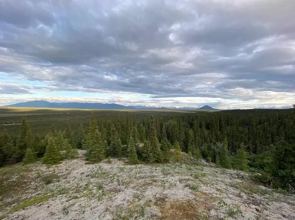 Nhn Fort Greely Ridge Rd, Delta Junction, AK 99737