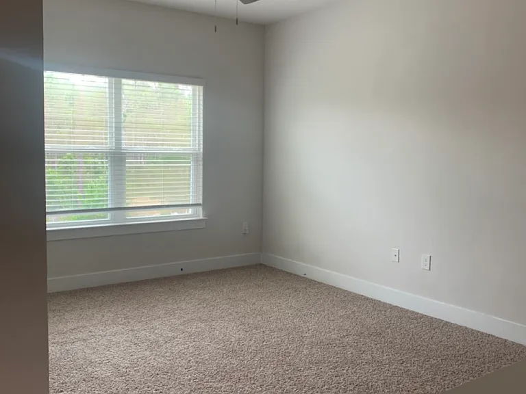 4475 Water Leaf Cv — Photo 5