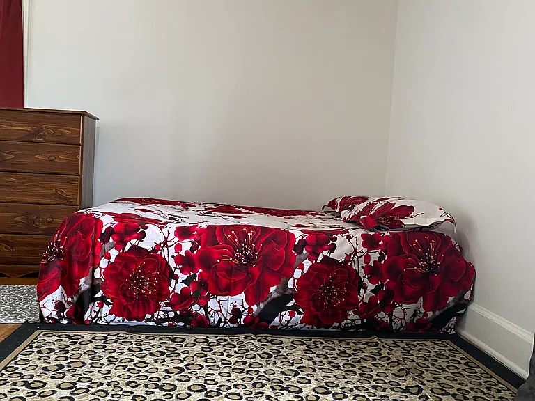 4 Belknap Ave #2 — Photo 5