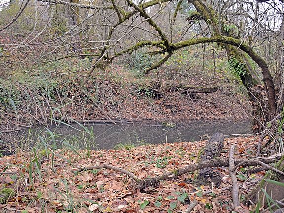 5th image of 16295 SW Hillsboro Hwy