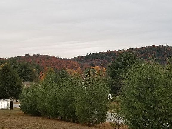 View of front tree line.