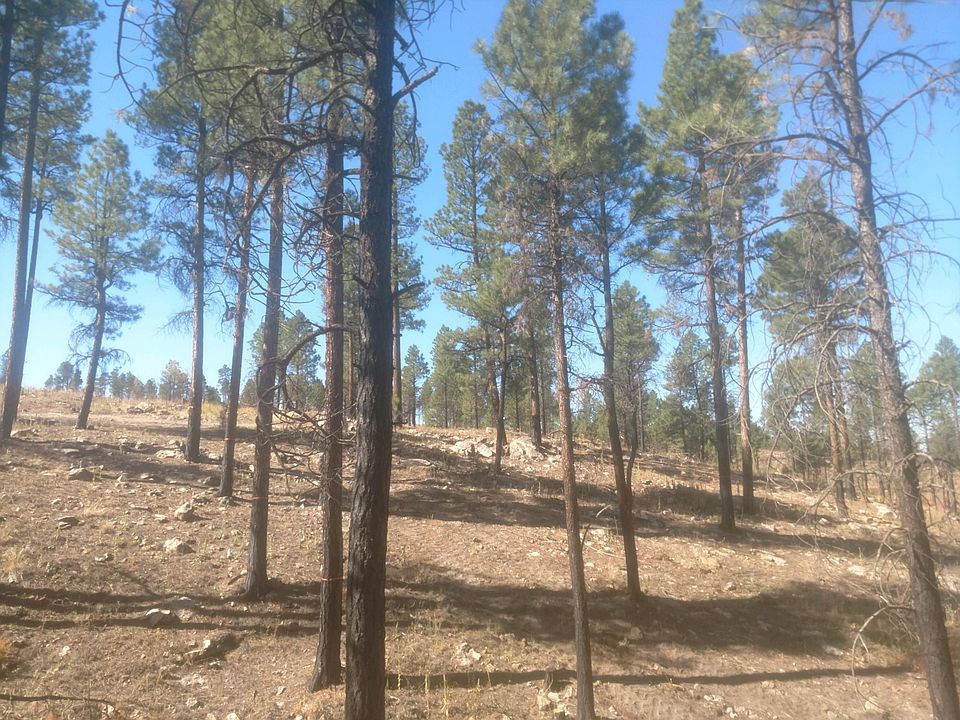 2nd image of 931 Britton Ln