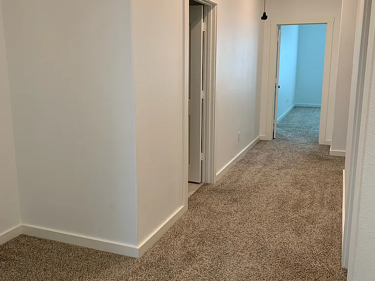 4881 Ellie Ln — Photo 14