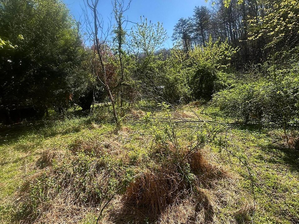 2nd image of 807 Cleghorn Valley Rd