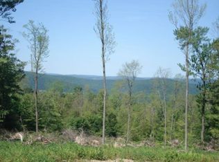 455 Peas Eddy Rd, Hancock, NY 13783