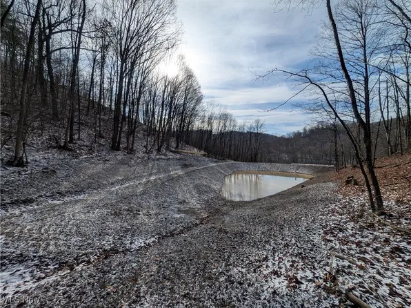 1054 Bergholz Rd SE, Bergholz, OH 43908