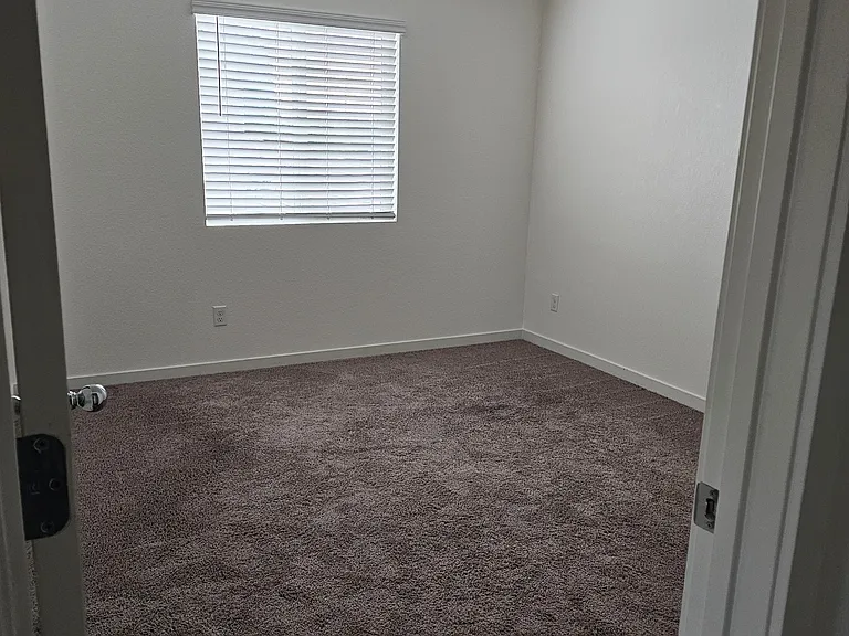 4385 Silver Cedar Ln — Photo 18