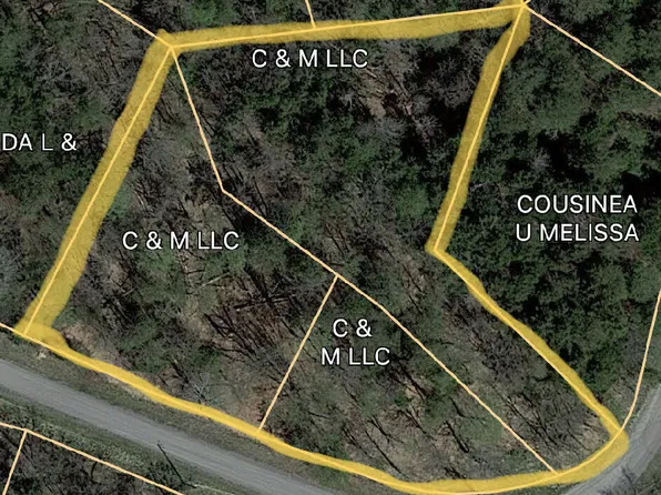 Iron Gate Dr, White Pine, TN 37890