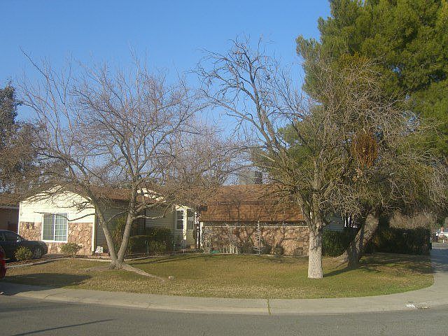 Front View