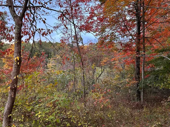 0 Glady Creek Rd, Fairmont, WV 26554