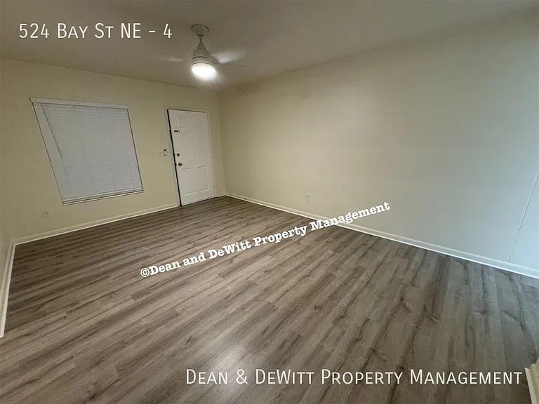 524 Bay St NE #4 — Photo 7