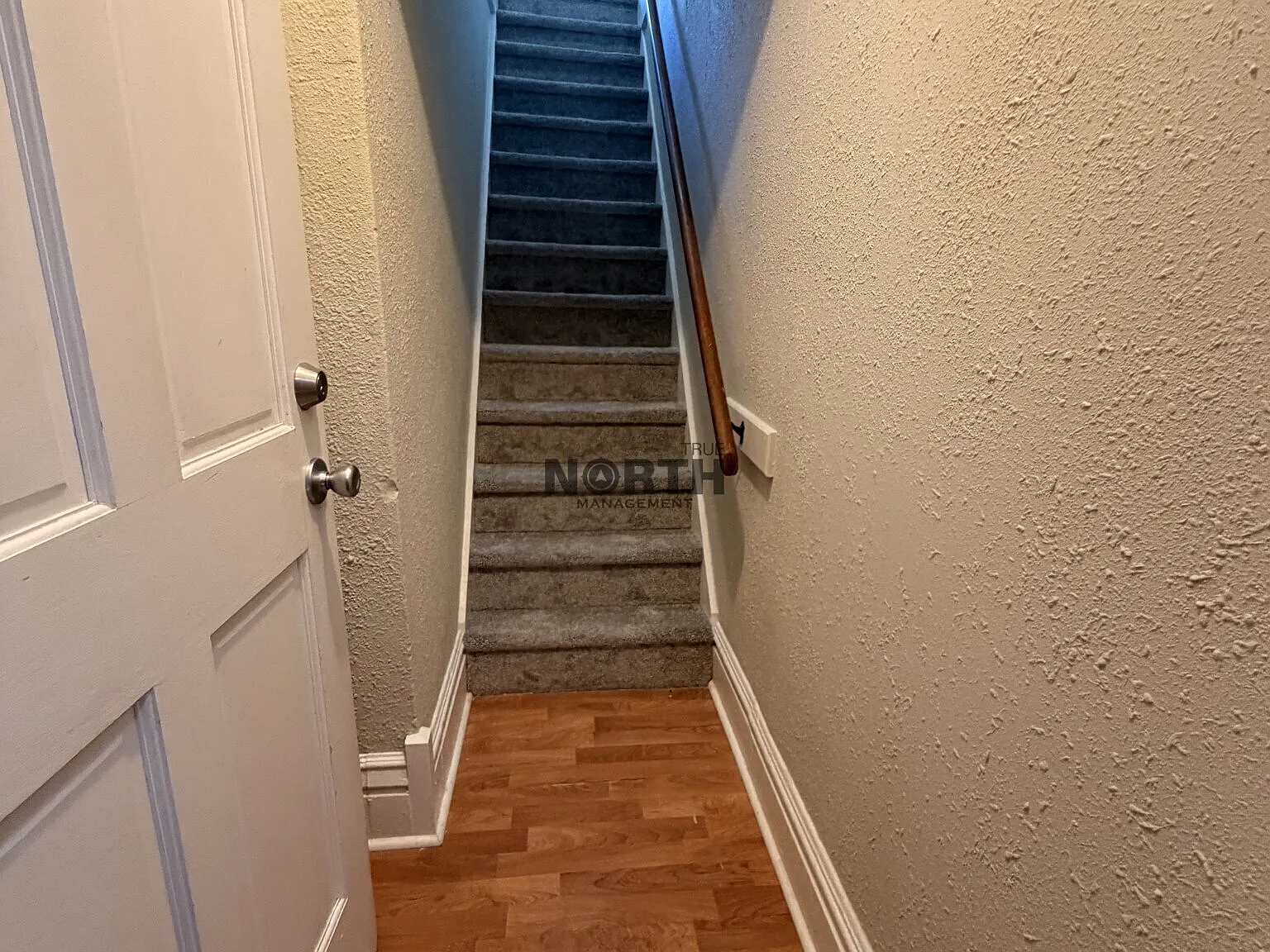 Studio, $950 — Photo 2