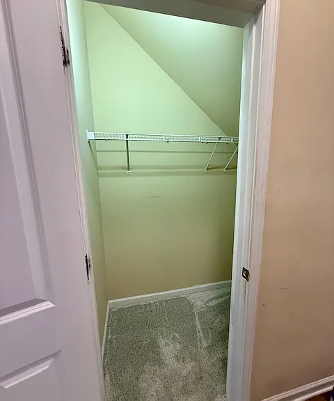 Walk-in downstairs hallway closet