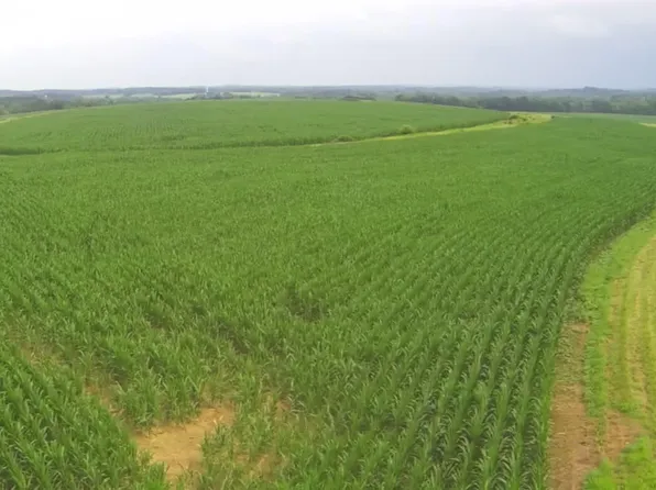 1000 E, Cannelburg, IN 47519