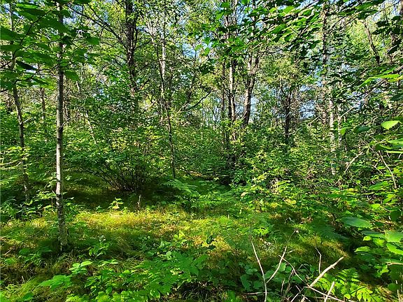 5th image of 0 Shell Creek Road