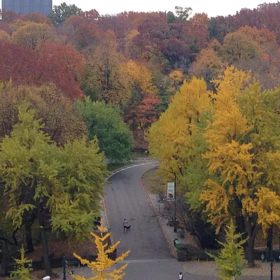 Rented by Owner | media 43