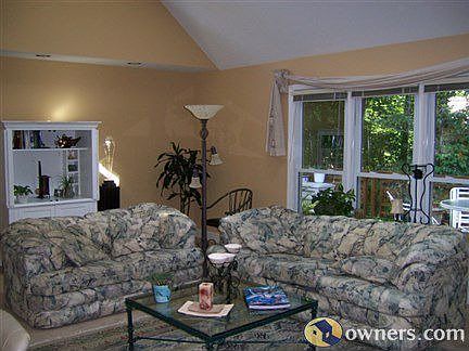 Vautled ceilings in great room