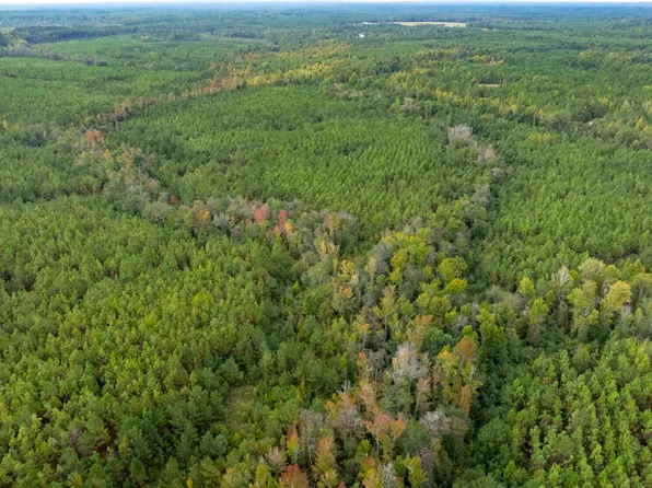 0 Fortner Pond Rd Tract 2, Kite, GA 31049