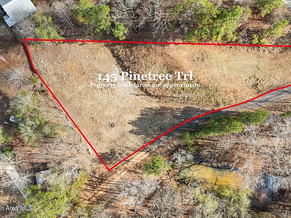5th image of 145 Pine Tree Cir