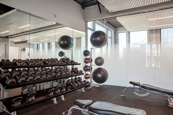 Rented by Two Trees | media 10